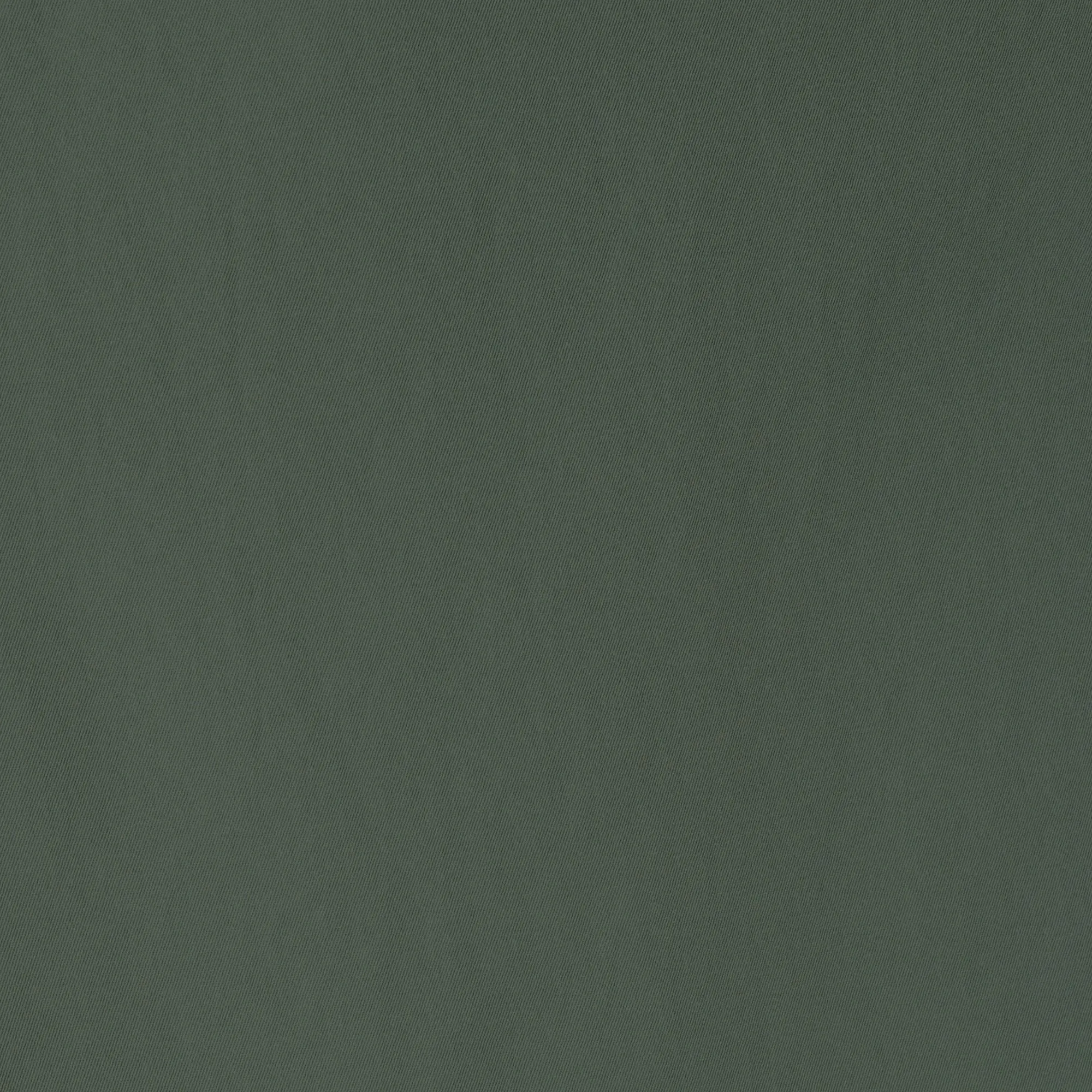 Women's pants eugenia in thyme green